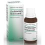 Heel Chelidonium Homaccord 30ml - Gocce Omeopatiche