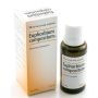 Gocce Euphorbium Compositum Heel - 30ml