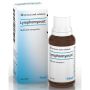 Heel Lymphomyosot Gocce Omeopatiche 30ml