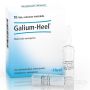 Heel Galium - Fiale da 1,1ml, Pacco da 10