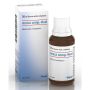Heel Arnica Compositum 30 ml Gocce