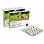 Camon Artosalus - Supplemento Alimentare per Cani, 60 Compresse