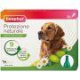 Beaphar Spot On Antiparassitario Naturale per Cani di Taglia Grande - 6 Pipette da 2ml