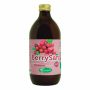 Puro Succo di Cranberry Sangalli Berrysan - 500ml