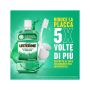 Listerine Collutorio 500ml per Difesa di Denti e Gengive
