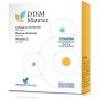 DDM Matrice in Confezione da 14 Bustine
