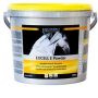 Equistro Excell E - Polvere di Mangime Complementare 3kg