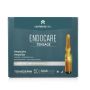 Endocare Tensage: Pacco da 10 Ampolle Rassodanti