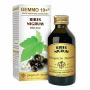 Dr Giorgini G10+ Analcoolico Liquido con Ribes Nero 100ml