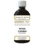 Rosa Canina Estratto Liquido Gemmoderivato Analcolico 10+
