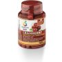 Colours of Life Cranberry Supplement - 60 Compresse