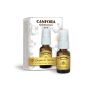 Dr. Giorgini Spray Quintessenza di Canfora, 15ml