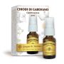 Spray Quintessenza di Chiodi di Garofano 15ml - Dr. Giorgini
