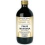 Dr Giorgini Pino Montano Gemmo 10+ Estraratto Naturale, 500ml