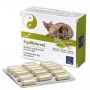 Camon AequilibriaVet: Supplemento Nutrizionale per Cani e Gatti - 60 Compresse