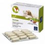 Immun Plus per Gatti - Supplemento Alimentare 60 Compresse