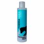 Shampoo Theraidra Rigenerante e Nutriente - 200ml