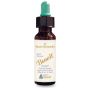 Start Remedy Benoit Essential Oil Blend - 10ml