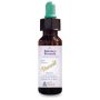 Balance Remedy Essential Oil Blend, 10ml