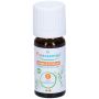 Olio Essenziale Biologico di Cannella Ceylon 5ml