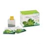 Tisana Infuso di Melissa e Verbena di Specchiasol - 20 Buste