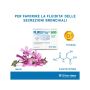 Fluistar 600 - Pacco da 14 Bustine Effervescenti