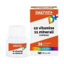 Massigen Dailyvit+ Integratore Multivitaminico, 30 Compresse