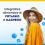 Polase Classico Integratore Alimentare Magnesio e Potassio Gusto Arancia - 24 Bustine