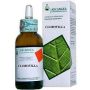 Soluzione Idroalcolica di Clorofilla 50ml - Integratore Naturale