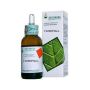 Soluzione Idroalcolica di Clorofilla 50ml - Integratore Naturale