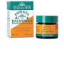 Balsamo Terapeutico Multifunzionale - 30ml
