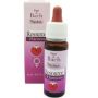 Resource Harmony: Gocce Concentrate da 20ml per Benessere Olistico