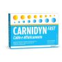 Carnidyn Fast - Integratore Alimentare in Bustine, Confezione da 20