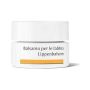 Dr. Hauschka Balsamo Labbra Idratante e Nutriente - 4,5g