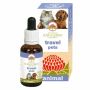 Australian Bush Flower Essences 30ml Travel Formula per Animali