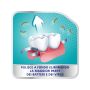 Polident 3 Minuti - 66 Compresse Effervescenti per Pulizia Dentiere