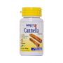 Longlife Cannella Alta Potenza 500mg - 60 Capsule