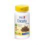 Uncaria Long-Lasting Wellness Capsules - Pack of 60