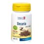 Uncaria Long-Lasting Wellness Capsules - Pack of 60