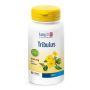 Tribulus Terrestris 90 Capsule Longlife