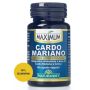Cardo Mariano Massima Potenza 40 Capsule