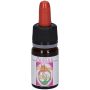 Elixi D'Oro Gocce Concentrate 7ml