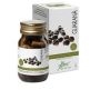 Guaranà Puro Concentrato - 50 Capsule Energizzanti