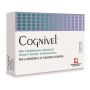 Cognivel Advanced Cognitive Support - 40 Softgel Capsules
