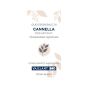 Olio Essenziale Puro di Cannella Vaillant - 10ml
