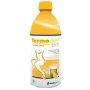 Termodren Evo Tè Limone - Bevanda Termogenica 500ml