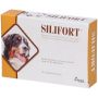 Silifort 1g - Confezione da 30 Compresse