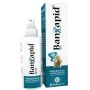 Banzapid Spray Antilendini e Antipidocchi - 100ml