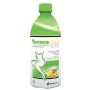 Evo Termodren Ananas Drenante Termogenico 500ml