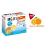 Mgk Vis Junior Arancia - Supplemento per Bambini, 10 Bustine